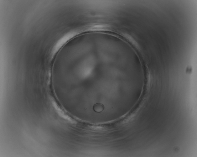 X0000114171413200910081511