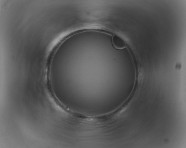 X0000114171414200910081511