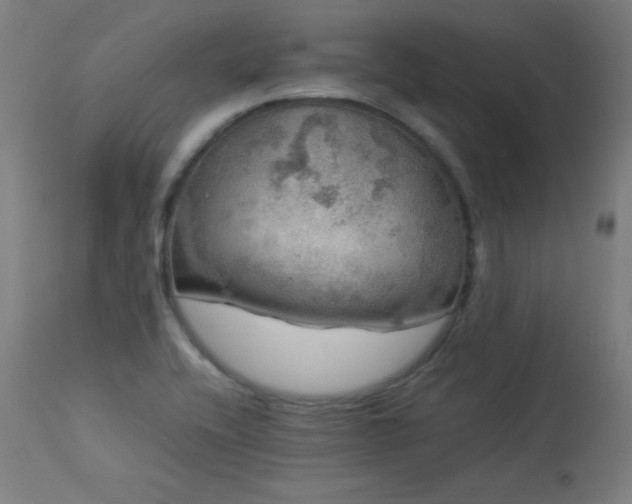 X0000114171416200910081511