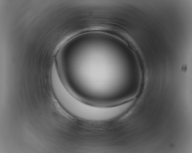 X0000114171417200910081511