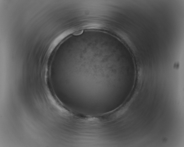 X0000114171418200910081511