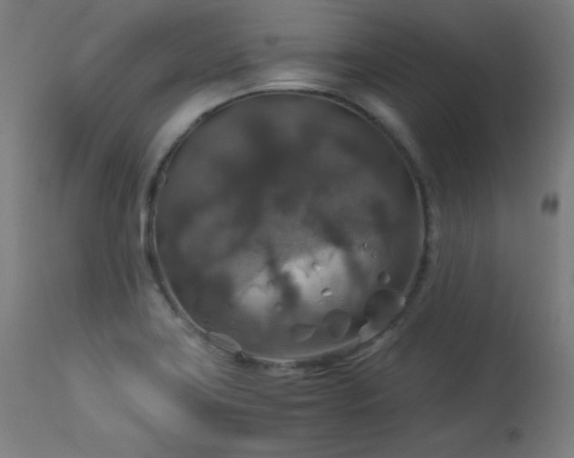 X0000114171419200910081512