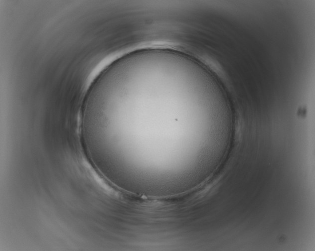 X0000114171420200910081512