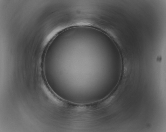 X0000114171422200910081512