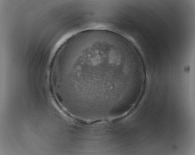 X0000114171424200910081512