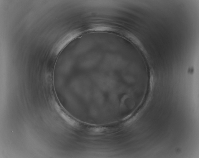 X0000114171425200910081512