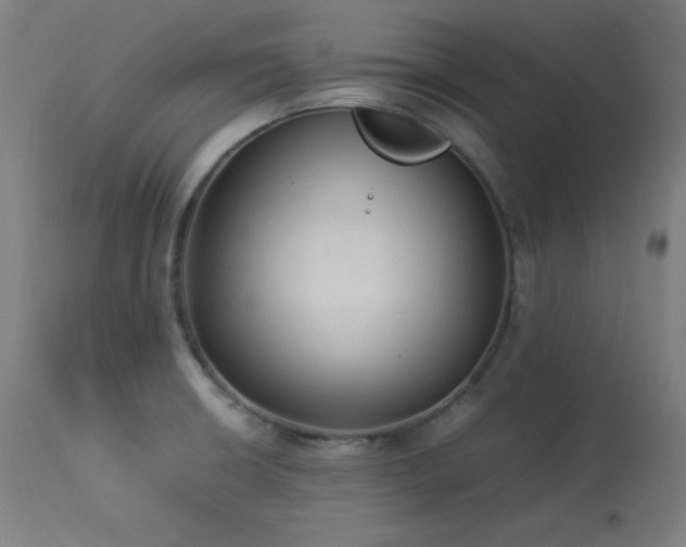 X0000114171426200910081512