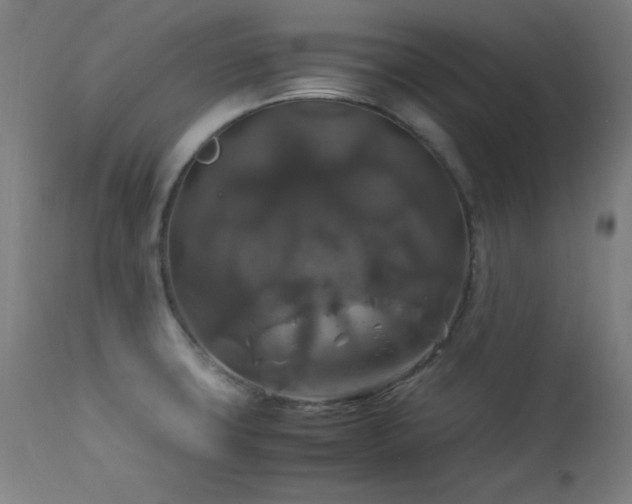 X0000114171427200910081512