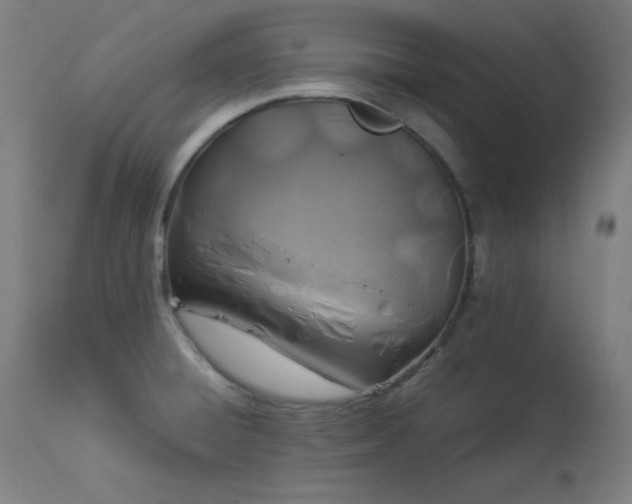 X0000114171428200910081512