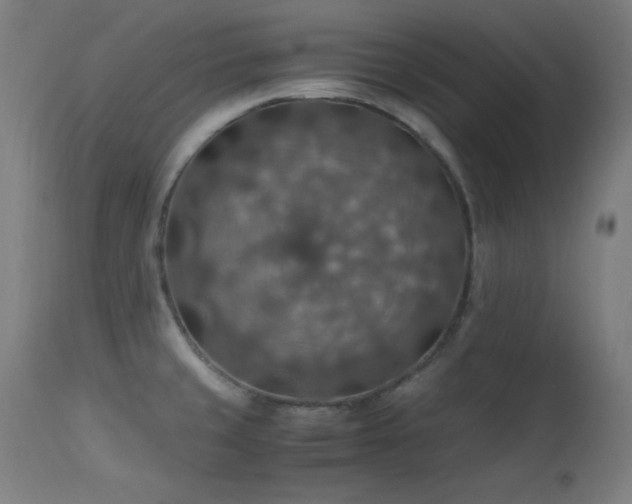 X0000114171429200910081512