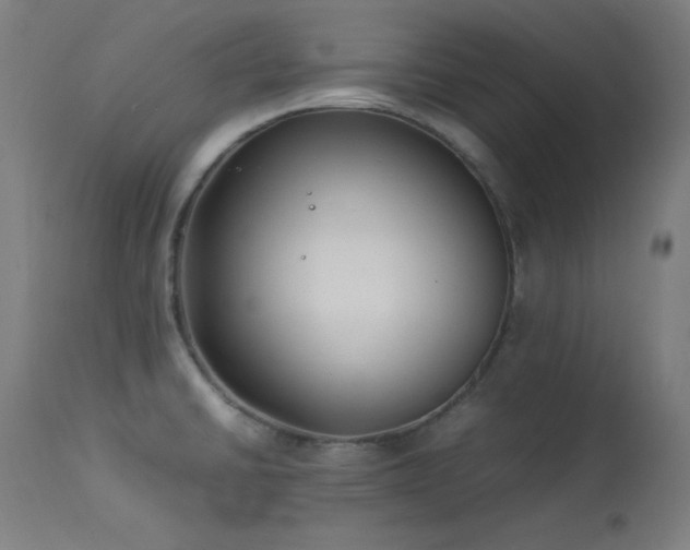 X0000114171430200910081512