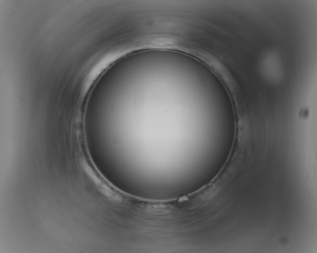 X0000114171432200910081512