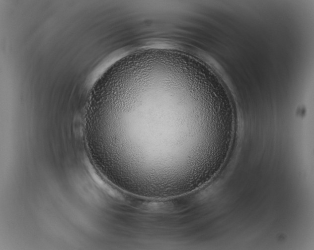 X0000114171433200910081512