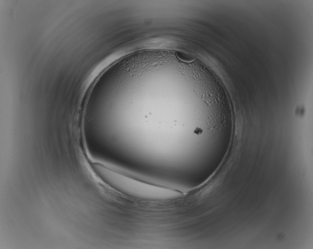 X0000114171434200910081512