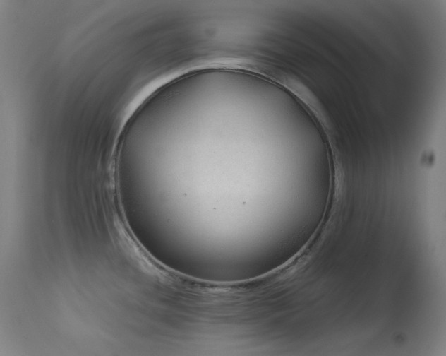 X0000114171436200910081512
