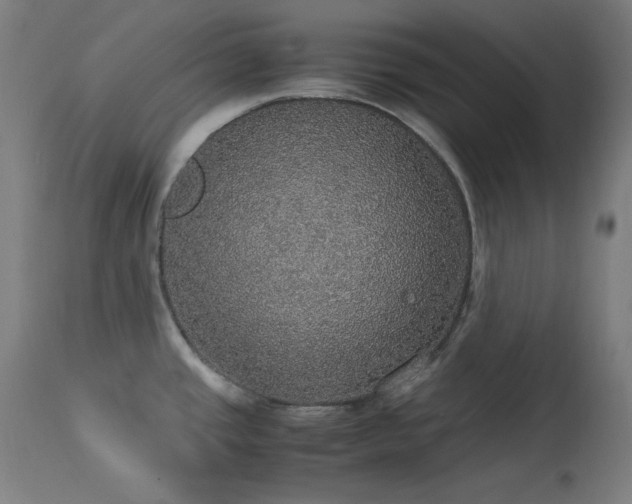 X0000114171437200910081512