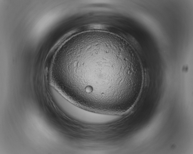 X0000114171438200910081512