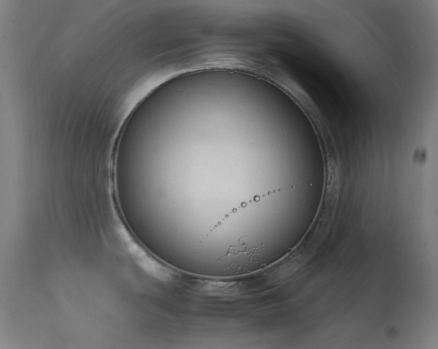 X0000114171439200910081512