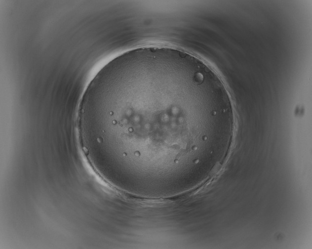 X0000114171440200910081512