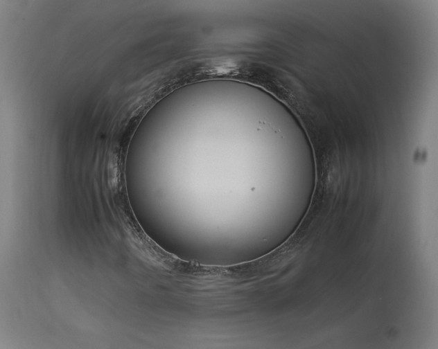 X0000114171442200910081511