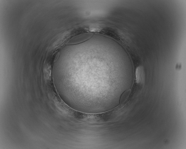 X0000114171443200910081511