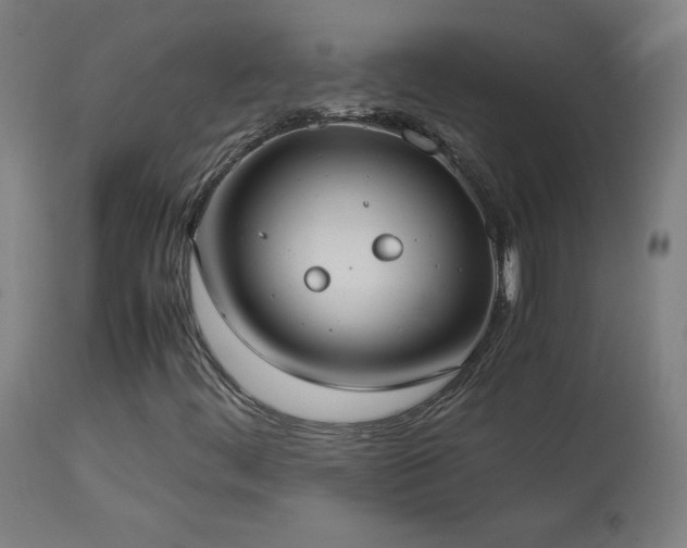 X0000114171444200910081511