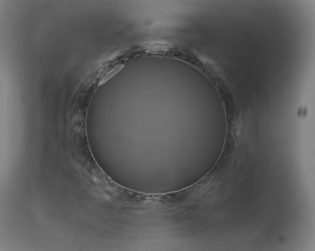 X0000114171445200910081511
