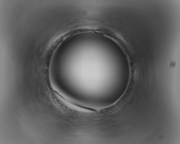 X0000114171448200910081511