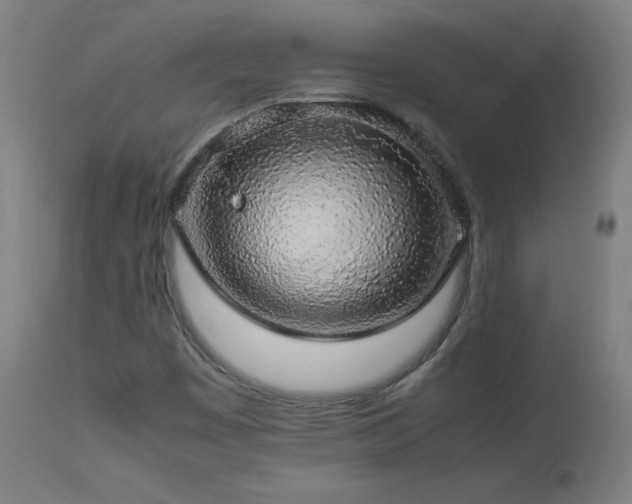 X0000114171449200910081511