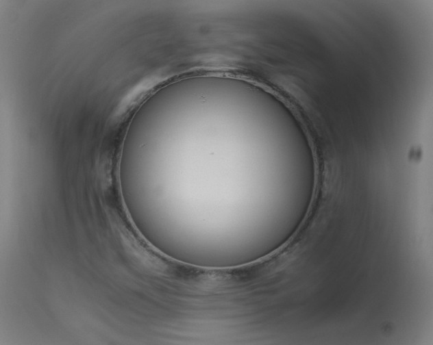 X0000114171451200910081511