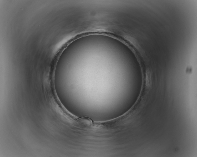 X0000114171452200910081511