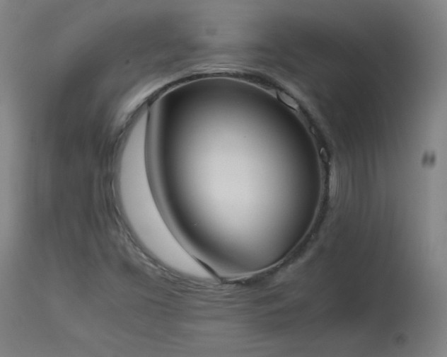 X0000114171453200910081511