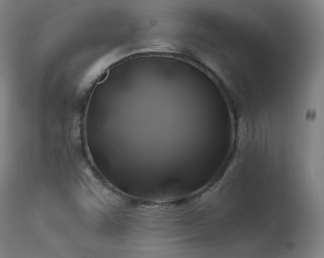 X0000114171455200910081511