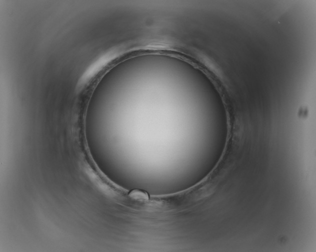 X0000114171456200910081511