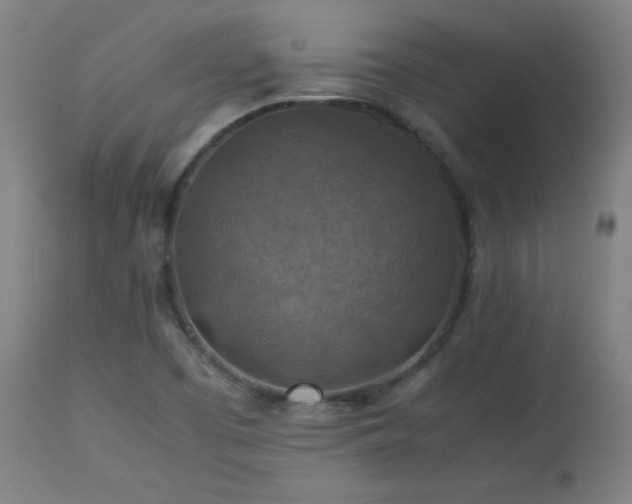 X0000114171457200910081511
