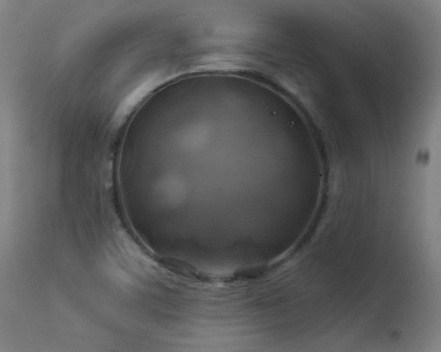 X0000114171459200910081511