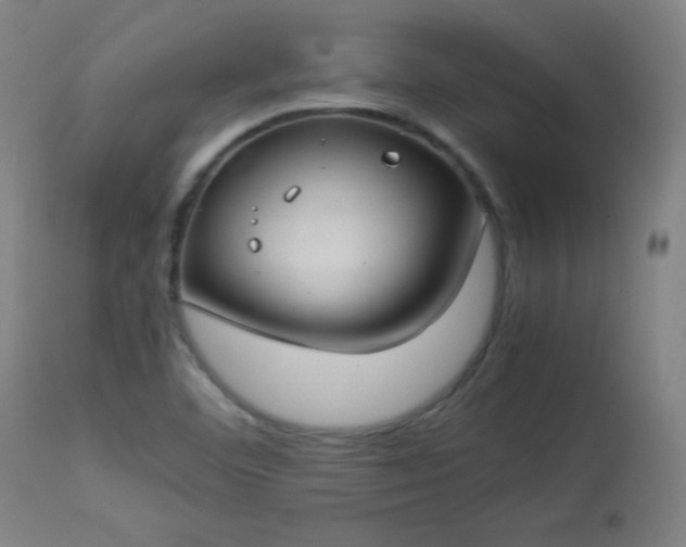 X0000114171460200910081511