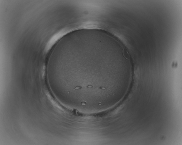X0000114171461200910081511