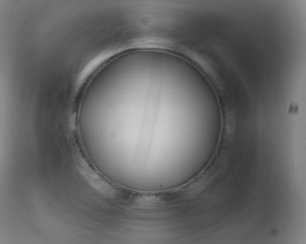 X0000114171462200910081511