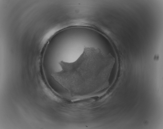X0000114171463200910081511