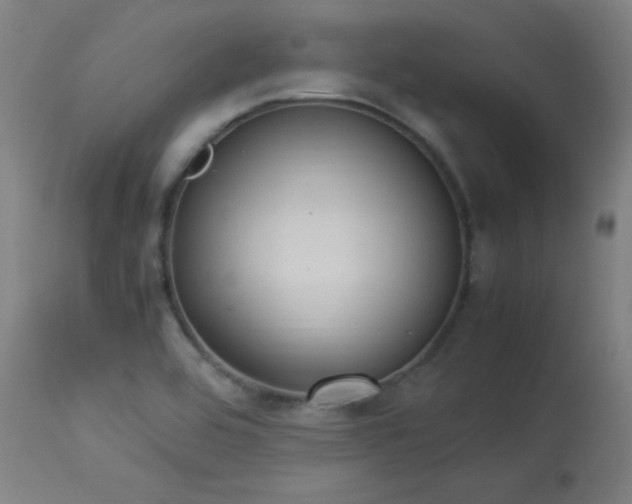 X0000114171464200910081511