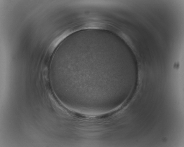 X0000114171465200910081511