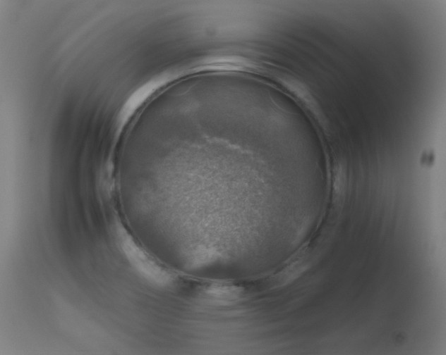 X0000114171466200910081511