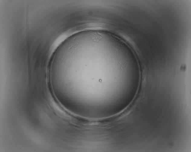 X0000114171467200910081511
