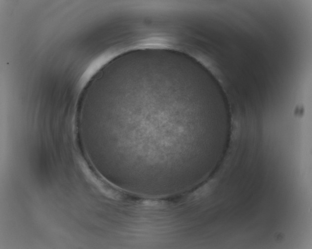 X0000114171469200910081511