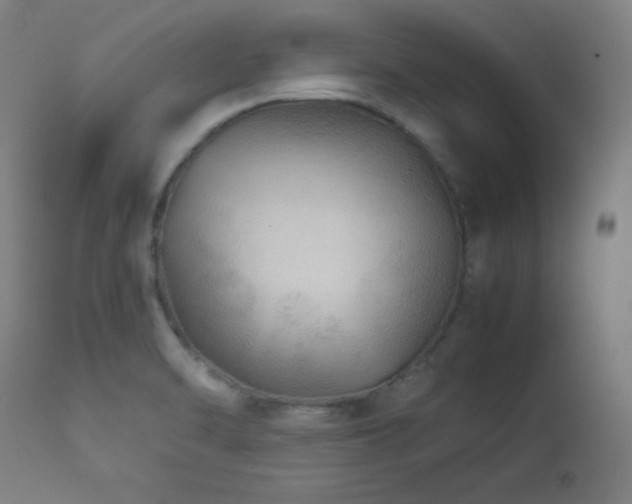 X0000114171470200910081511
