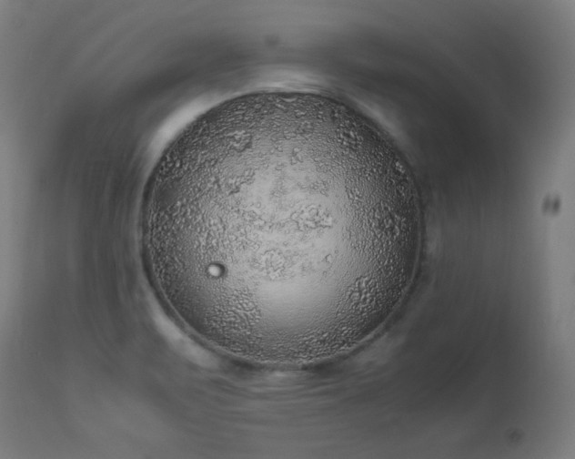 X0000114171471200910081511