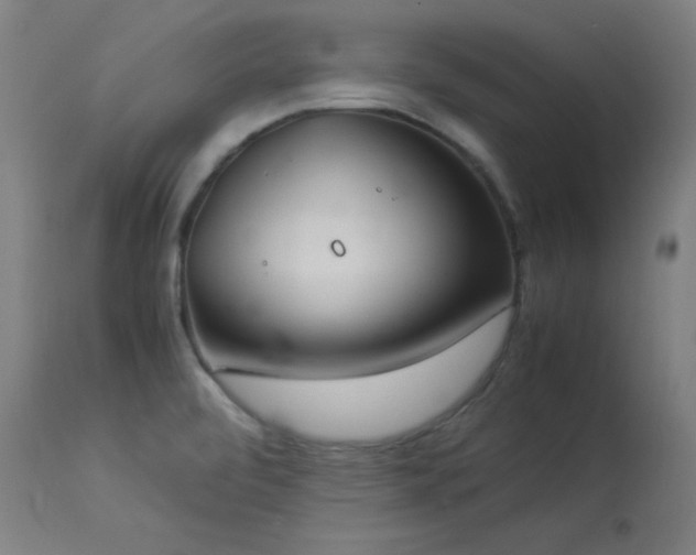 X0000114171472200910081511