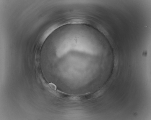 X0000114171473200910081511