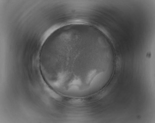 X0000114171474200910081511